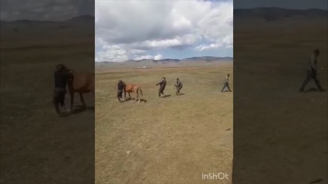 Бурятское родео. Бурятский улус. Бурятия. Буряты.