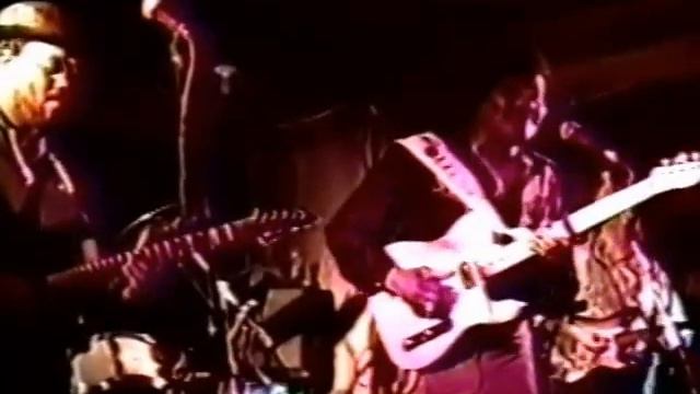 Albert Collins 1992