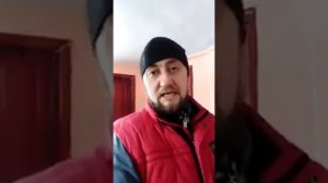 Проращиваем пшеницу для кур. Лёгкий способ.