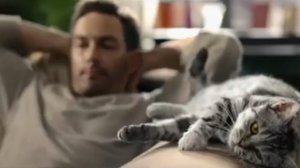 Whiskas для кошек старше 8 лет