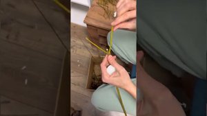 Прививаем иву на штамбе.