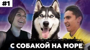 Путешествие с собакой на море | Какие трудности вас ждут | С Хаски в теплые края