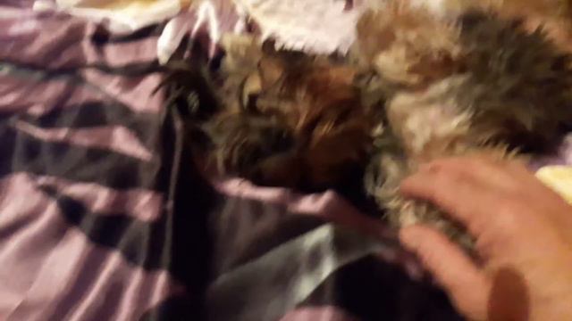 Так живёт Маруська смотреть онлайн