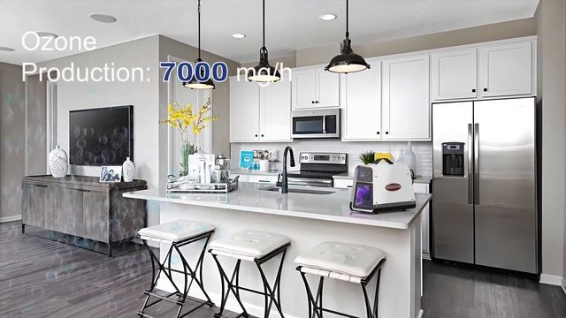 Abestorm Commercial Ozone Generator смотреть онлайн