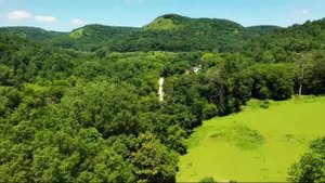 Экологичный образ жизни: часть 2