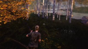 Hunting Simulator 2 НАСТОЯЩАЯ ОХОТА Xbox Series S 1440p 30 FPS