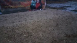 ЖОМ. Как сохранить свекольный жом? Способы консервации свекольного жома. Проводим эксперимент.