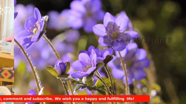 ENG SUB - #杨紫 新剧穿搭大火！粉色系实在是太少女了，《#余生，请多指教》林之校的包包看着就让人喜欢 【NEWS TT7004月19日】 смотреть онлайн