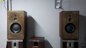 Акустическая система Виктория 001, АС-40-8 “Виктория”