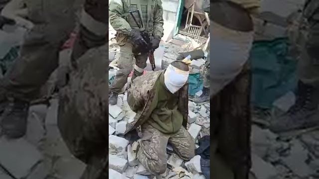 ‼️??"Никто вас мочить не будет": Бойцы "Чёрной мамбы" захватили боевиков ВСУ в ходе наступления у