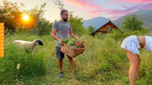 Жизнь в глухой деревне. Всякое в голову лезет! Мужики поймут. Женщины оценят! Жизнь в деревне Турция