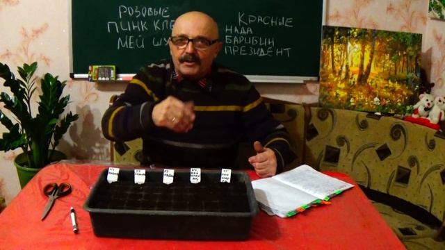 Посадите хоть несколько помидоров таким методом, - и Вы всегда будете делать так! смотреть онлайн