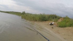 Тест спиннинга  Hearty Rise Jig Force ll JF-842MH с берега. Информативность на всех весах !