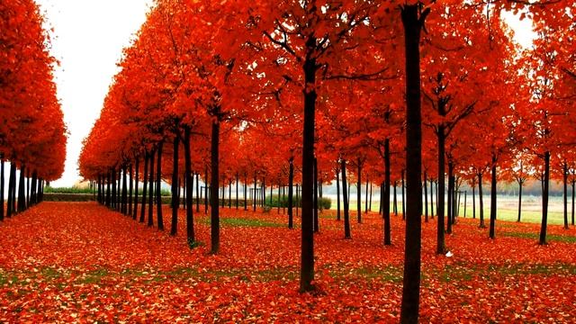 Лучшие обои для рабочего стола HD Смотреть в максимальном качестве! смотреть онлайн