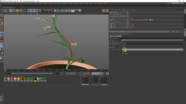 CINEMA 4D Flowers Drawing Free Preset Tutorial L C4D 무료 프리셋 소개