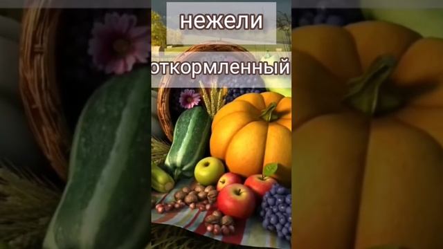 Лучше блюдо зелени, и при нём любовь... #стихи# #Библия