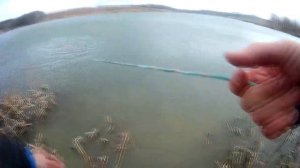 ЛОВЛЯ КАСТИНГОВОЙ СЕТЬЮ. Зарыбил пруд в лесу