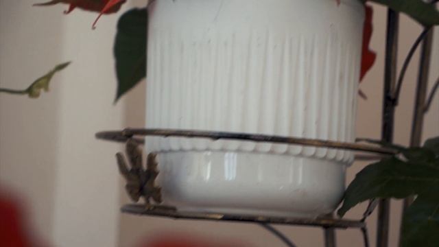 Подставки напольные для цветов от HITSAD смотреть онлайн