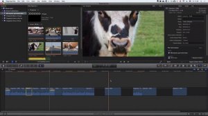 Базовый видеокурс "Монтаж в Final Cut". Урок 03. Прокси и размещение клипов на таймлинии в FCPX