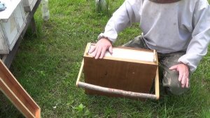 Вывод маток с помощью прививочного ящика