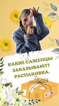 Какие саженцы заказывают? Распаковка посылки. #питомникросток #питомникрастений #саженцы