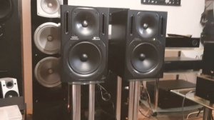 Behringer TRUTH B2031A Active Monitor