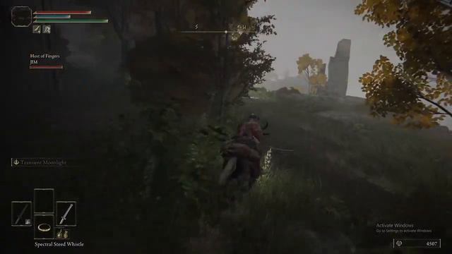 Elden ring seemless co-op (Without Braincells). смотреть онлайн