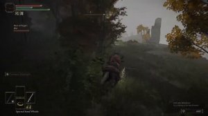 Elden ring seemless co-op (Without Braincells).