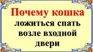 Почему кошка ложиться спать возле входной двери