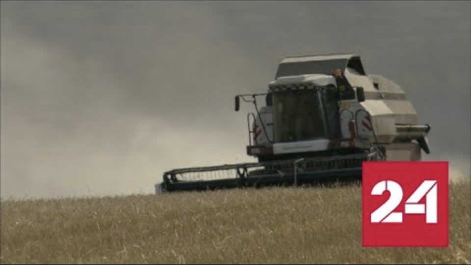 Россия наращивает поставки зерна в страны Африки и Ближнего Востока - Россия 24