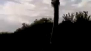 Гопник и Страус.