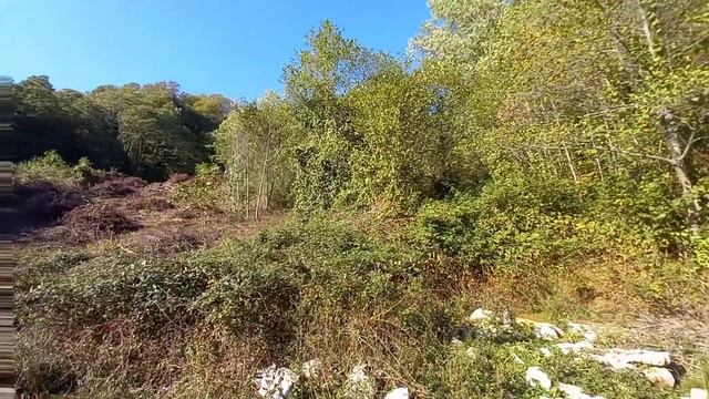 Сочи. Каштаны. Участок 12,5 соток недорого. смотреть онлайн