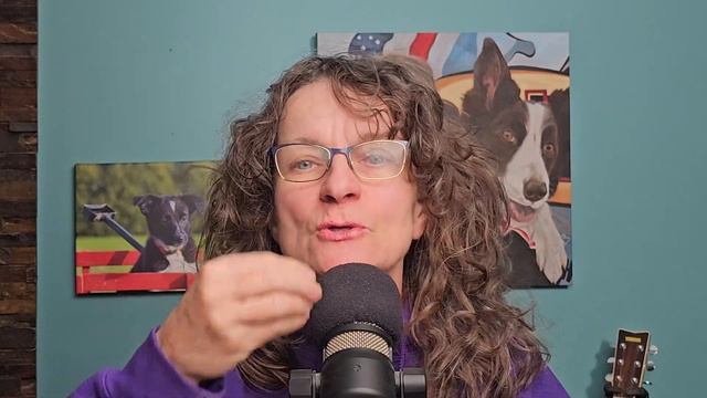 Is My Puppy’s Behavior Normal Or Is It Time For Me To Be Concerned? #260 #podcast смотреть онлайн