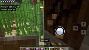 играю в minecraft выживание