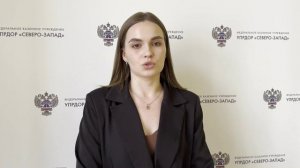 Лоси на дорогах: зачем они выходят на трассу и как избежать столкновения