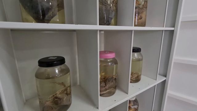 UASS Medicina - Pedro Juan Caballero / PY смотреть онлайн