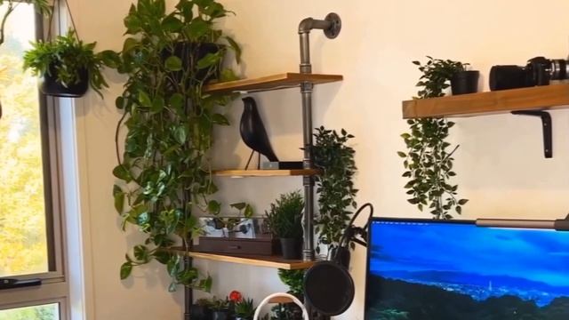 Телевизор LG 43LM5772PLA смотреть онлайн