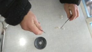 Проверяем ловушку на фазана.механизм