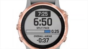 Garmin Fenix 6s Sapphire