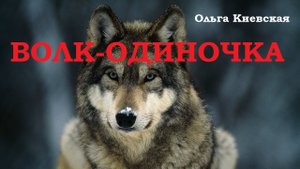 ВОЛК-ОДИНОЧКА