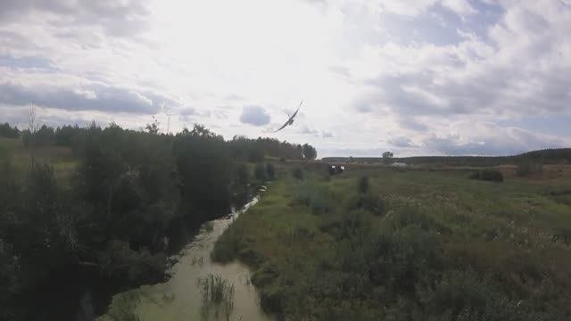 Цапля