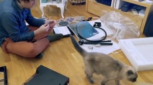 Распаковка и обзор посылки Flyingbear Ghost 4S  - новый 3D принтер