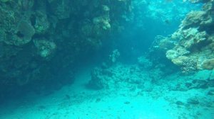 Погружение под воду - дайвинг в Шарме Египет Diving Sharm el sheikh