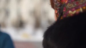Тюмень: детский день. Обзорная экскурсия по городу
