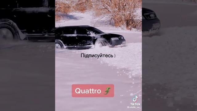 Audi allroad A6C5.  Ауді алроуд С5 ??????