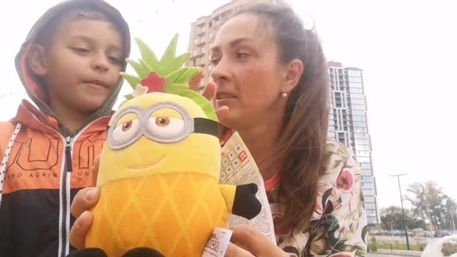 Коллекция Миньонов 