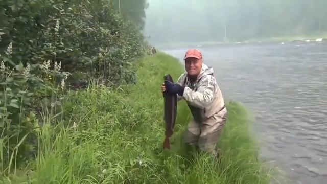 8191 Таежный способ кипятить чай Огняный колодец Нодья Костер Таежная печь тайга Сибирь на рыбалке смотреть онлайн