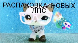 LPS РАСПАКОВКА,ТАТУИРОВОНОЙ КОШКИ