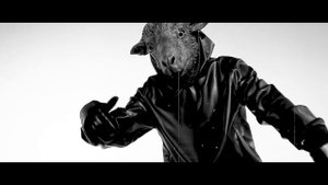 F Charm Animal Videoclip Oficial