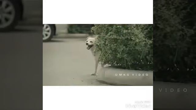 Добро всегда возвращается смотреть онлайн